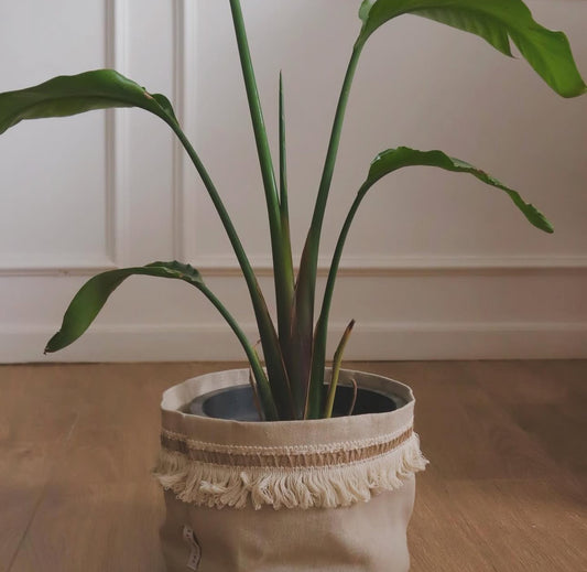 Bolo Plant Pot Bag