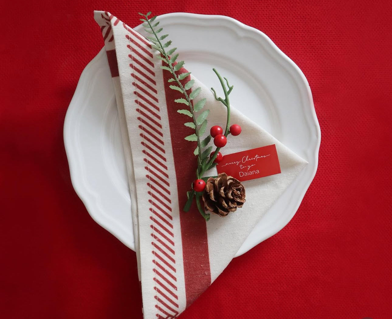 Rio Napkins Set Of 8 Pieces